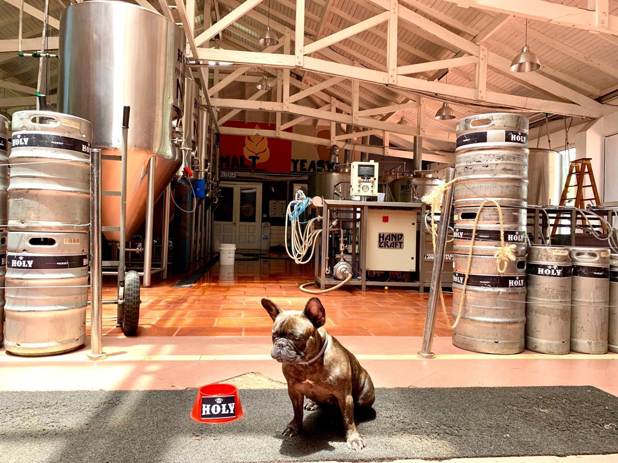 Beer Hotel Iguazu Puerto Iguazu Luaran gambar